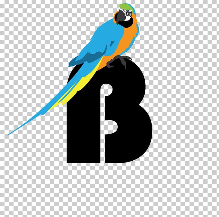 A Bird Chronicle Macaw Parakeet Feather PNG, Clipart, Alphabet Book, Animals, Art, Beak, Bird Free PNG Download