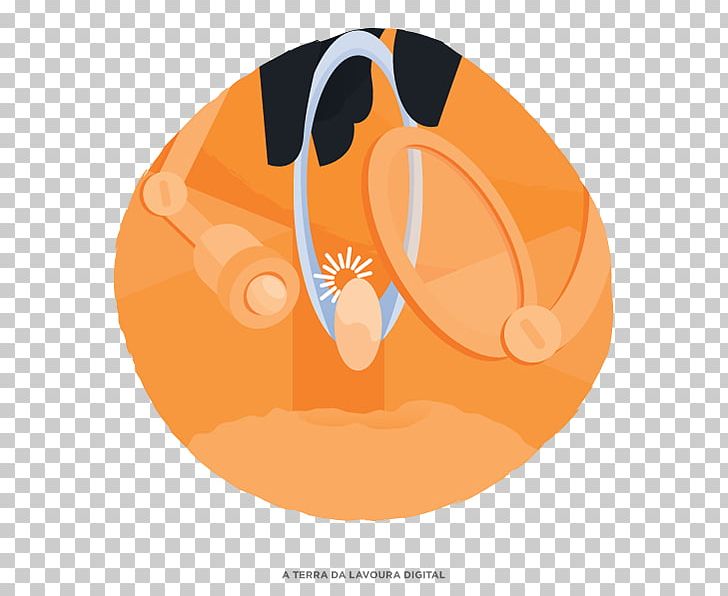 Animal PNG, Clipart, Animal, Art, Circle, Orange, Thank You Economy Free PNG Download