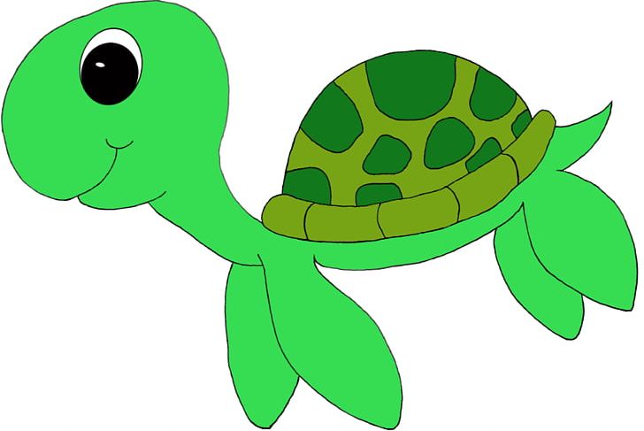 Green Sea Turtle Leatherback Sea Turtle PNG, Clipart, Animal, Computer, Cuteness, Drawing, Free Content Free PNG Download