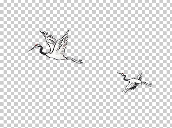 Black Swan PNG, Clipart, Adobe Illustrator, Animals, Bird, Cygnini, Ducks Geese And Swans Free PNG Download