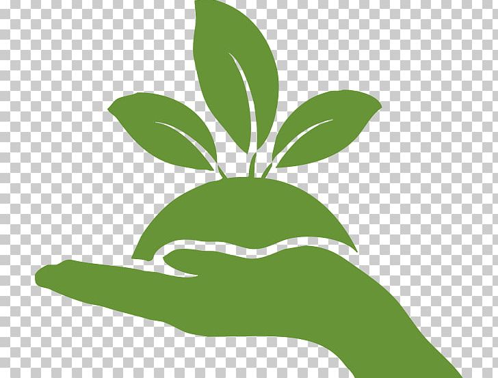 Computer Icons Waste Management Key West Tropical Forest & Botanical Garden Waste Management PNG, Clipart, Computer Icons, Environmental Consulting, Environmentalism, Flora, Grass Free PNG Download