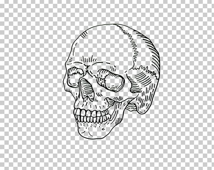 Human Skull Symbolism Drawing Skeleton PNG, Clipart, Area, Black And ...