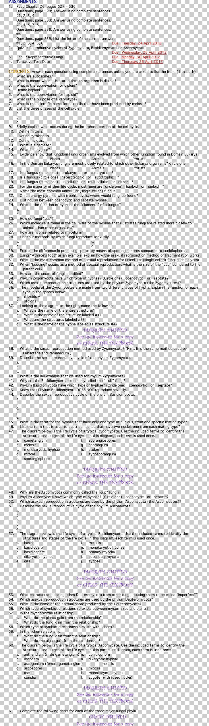 Paper Document Line Area Font PNG, Clipart, Area, Art, Document, Line, Paper Free PNG Download