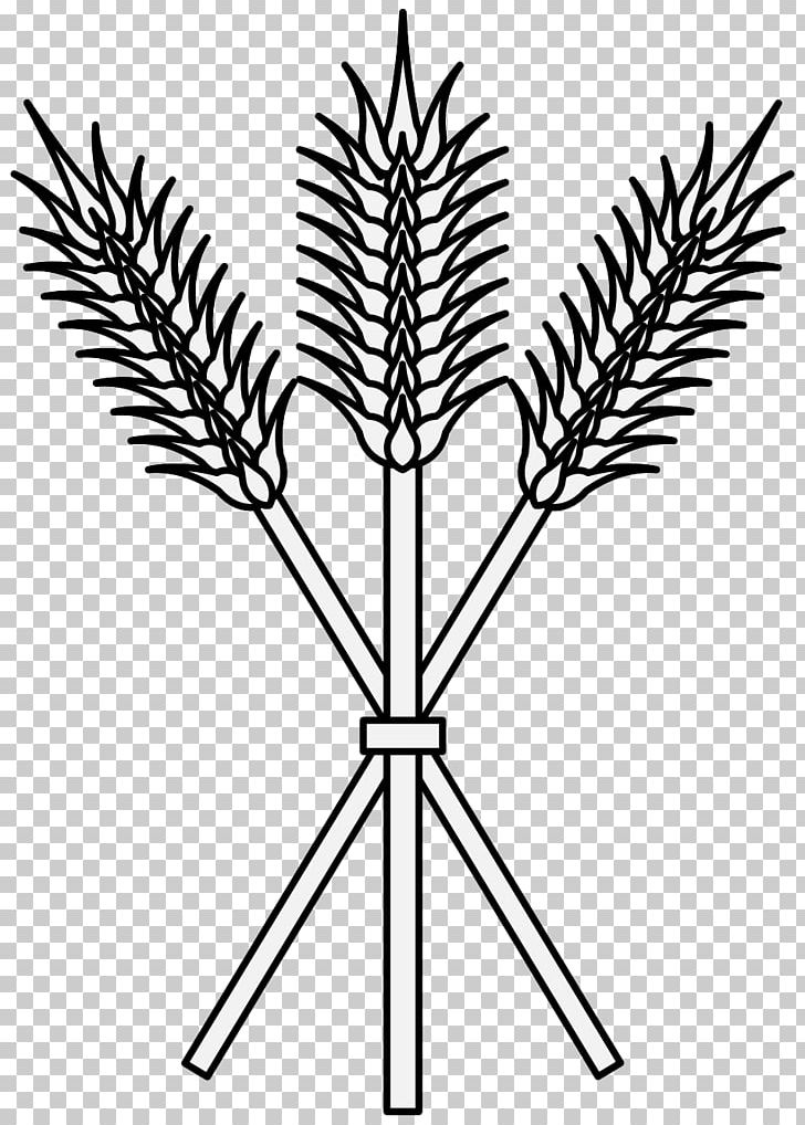 Plant Stem Drawing Heraldry PNG, Clipart, Art, Black And White, Branch, Drawing, Flowering Plant Free PNG Download