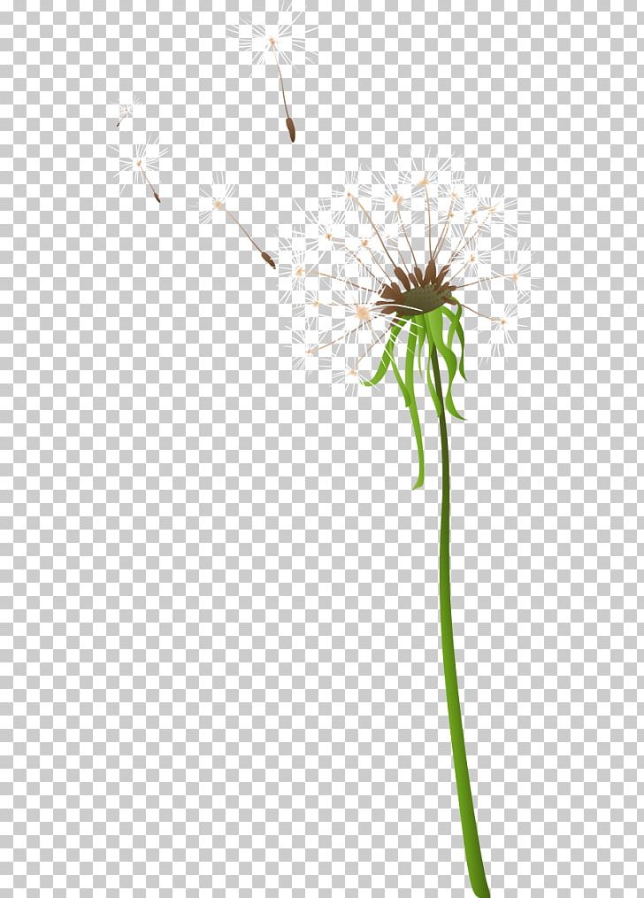 Dandelion Wii Sticker Video Game Consoles Nintendo PNG, Clipart, Apple, Daisy Family, Flower, Flowers, Grass Free PNG Download