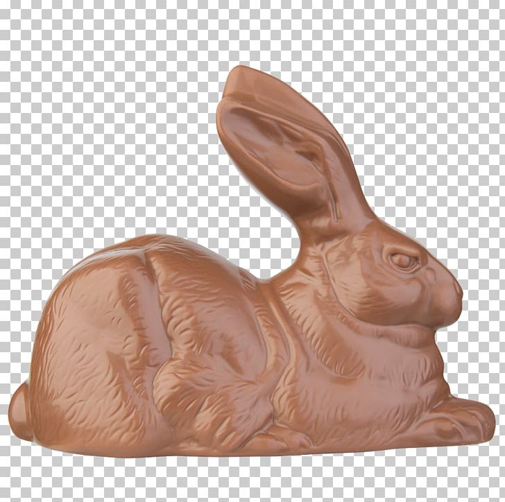Domestic Rabbit PNG, Clipart, Domestic Rabbit, Rabbit, Rabits And Hares Free PNG Download