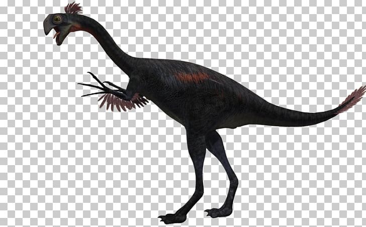 Gigantoraptor Velociraptor Alectrosaurus Bird Agathaumas PNG, Clipart,  Free PNG Download