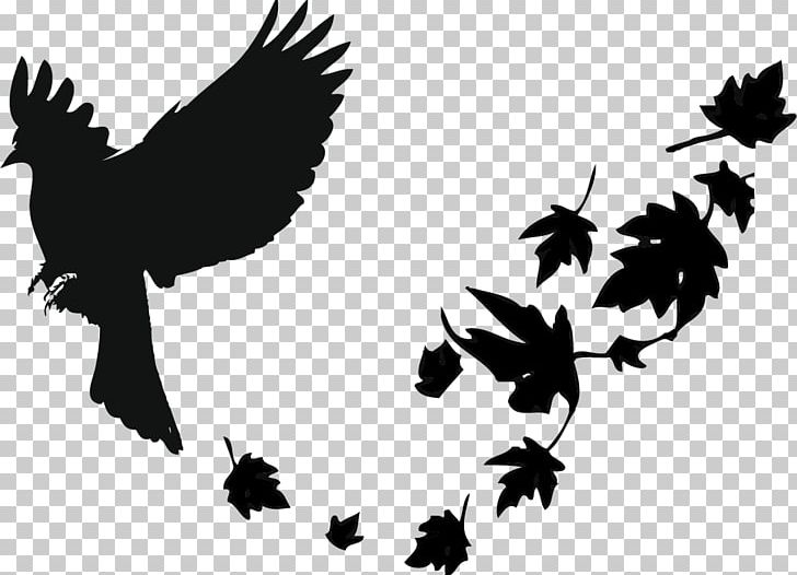 Thirteen Ways Of Looking At A Blackbird Common Blackbird Quotation PNG, Clipart, Animals, Bird, Bird Flight, Black, Branch Free PNG Download