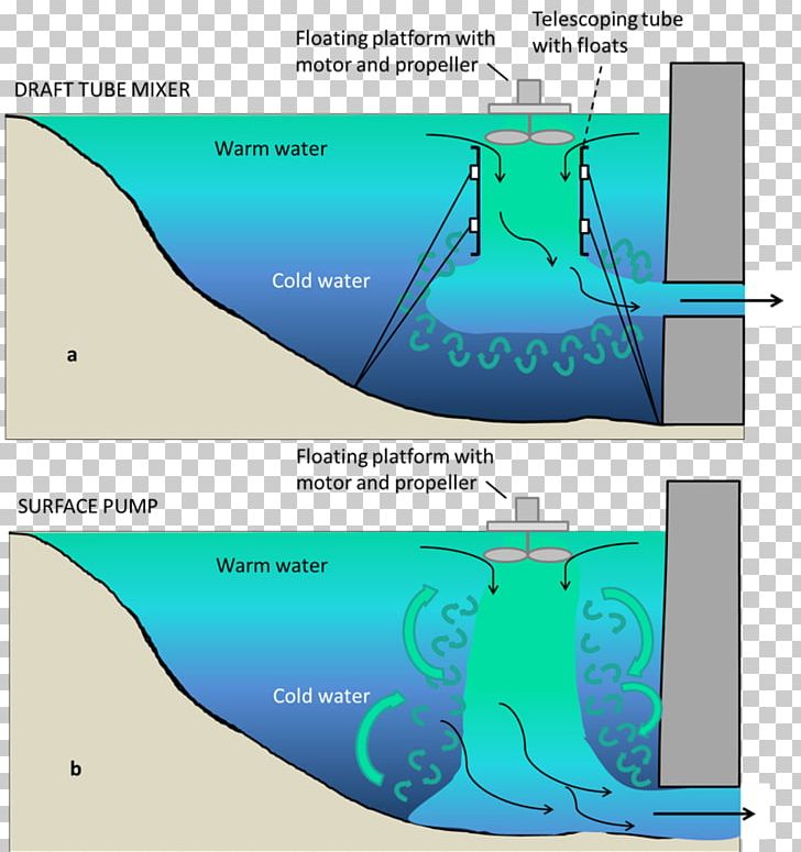 Water Resources Ecosystem Animal PNG, Clipart, Angle, Animal, Aqua, Area, Art Free PNG Download