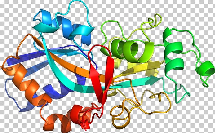 Custom Peptide Synthesis Amino Acid Protein Plant Peptide Hormone PNG, Clipart, Acid, Amine, Amino Acid, Artwork, Bodybuilding Supplement Free PNG Download
