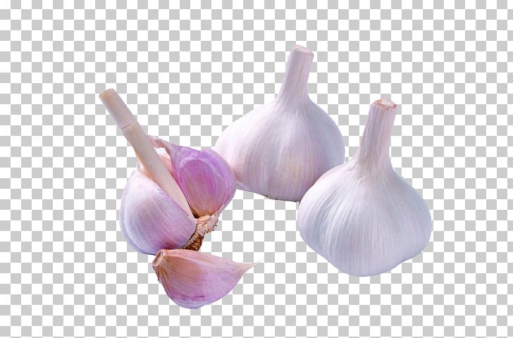 Garlic PNG, Clipart, Adobe Illustrator, Cartoon Garlic, Chili Garlic, Digital Camera, Dish Free PNG Download