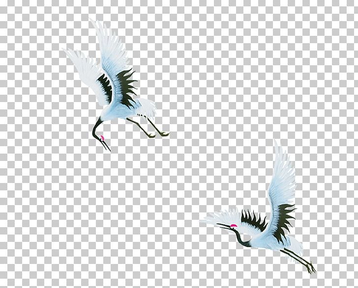 Red-crowned Crane Bird Origami Paper PNG, Clipart, Beak, Bird, Computer Wallpaper, Construction Crane, Crane Free PNG Download