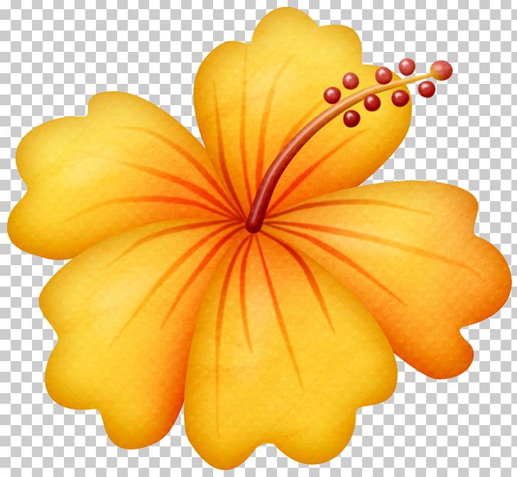 Pink Flowers Free PNG, Clipart, Clip Art, Color, Desktop Wallpaper, Drawing, Floral Design Free PNG Download