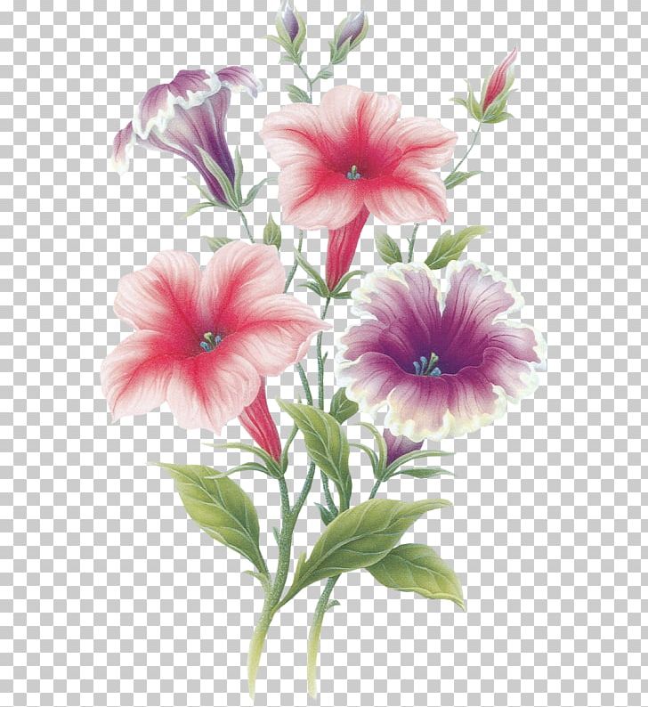Flower August 22 Portable Network Graphics Painting Adobe Photoshop PNG, Clipart, Annual Plant, August, August 22, Blog, Floral Design Free PNG Download