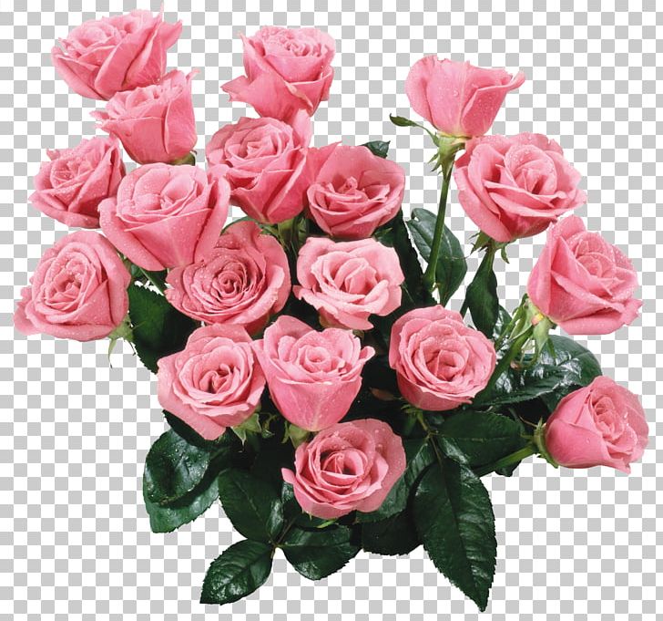 Pink Garden Roses Animation PNG, Clipart, Animation, Artificial Flower, Cartoon, Color, Cut Flowers Free PNG Download