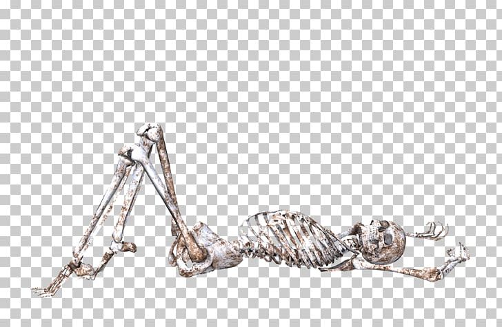 Skeleton Lying On Back PNG, Clipart, People, Skulls And Skeletons Free PNG Download