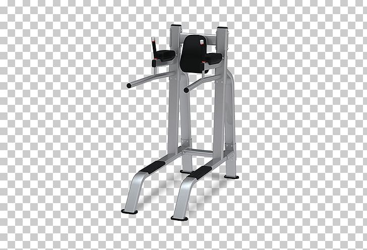 Bench Leg Raise Dip Weight Training Exercise Machine PNG, Clipart, Bench, Bench Press, Dip, Dip Bar, Dumbbell Free PNG Download