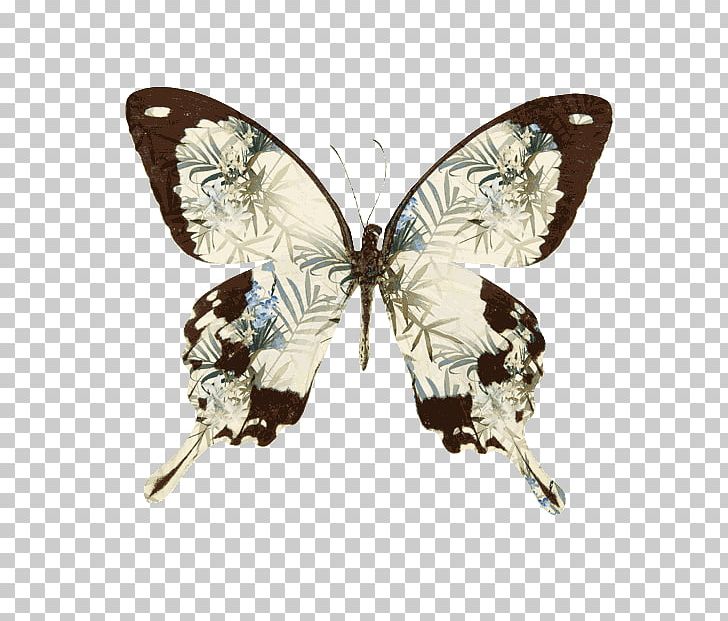 Brush-footed Butterflies Butterfly Tattoo Drawing Body Piercing PNG, Clipart, Arthropod, Body Piercing, Brush Footed Butterfly, Butterflies And Moths, Butterfly Free PNG Download