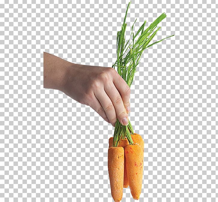 Baby Carrot Lush Food Mirepoix PNG, Clipart, Baby Carrot, Bunch Of Carrots, Butter, Caramel, Carrot Free PNG Download