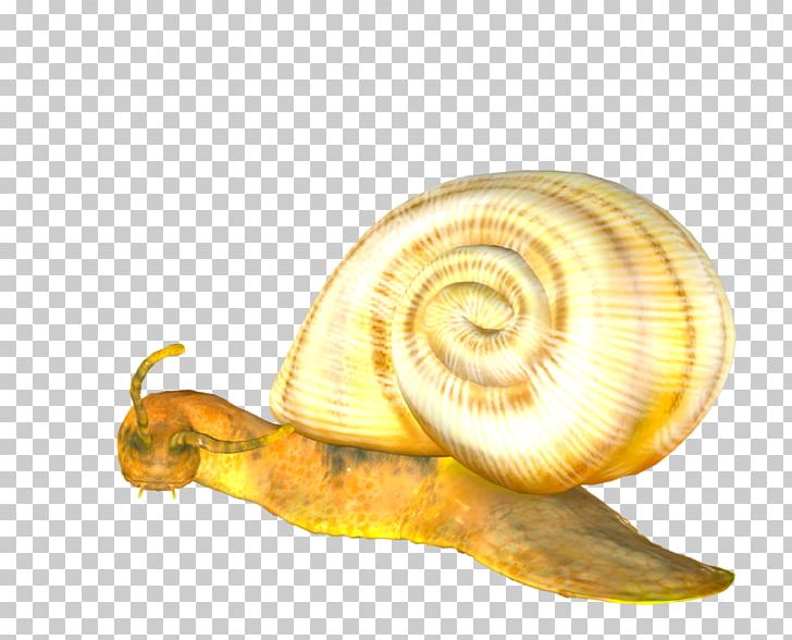 Gastropods Snail Slug PNG, Clipart, Animal, Animals, Art, Artist, Deviantart Free PNG Download