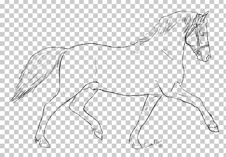 Bridle Mane Mustang Stallion Colt PNG, Clipart, Arm, Artwork, Black And White, Bridle, Colt Free PNG Download