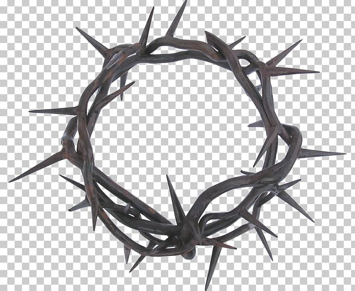 Crown Of Thorns Thorns PNG, Clipart, Antler, Branch, Christian Cross, Clip Art, Cross And Crown Free PNG Download