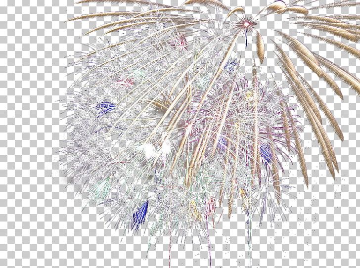 Fireworks Illustration PNG, Clipart, Blooming, Cartoon Fireworks, Celebrate, Colors, Dark Free PNG Download