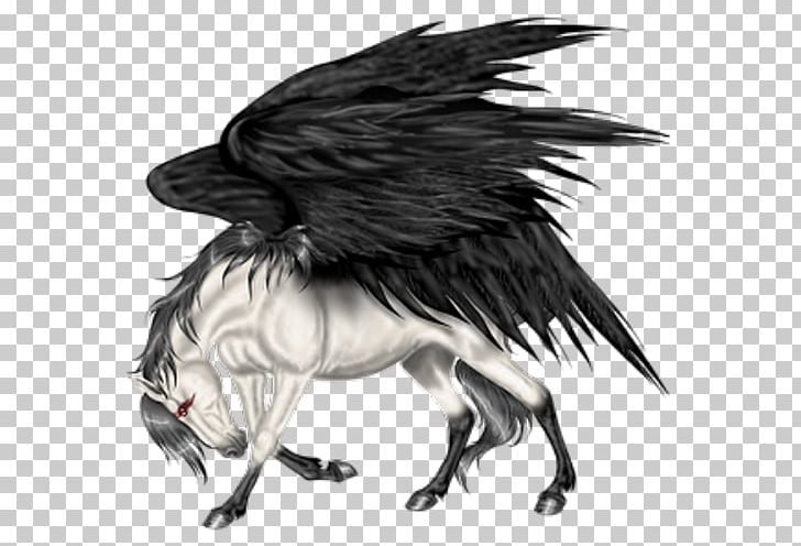 Pegasus Flying Horses Howrse Wing PNG, Clipart, American Crow, Beak, Bird, Bird Of Prey, Black And White Free PNG Download