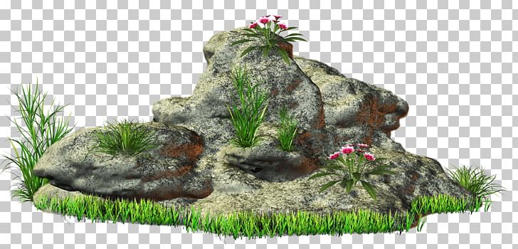 Rock Stone PNG, Clipart, Aquarium Decor, Art, Clip Art, Drawing, Flower Free PNG Download