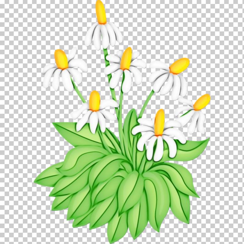 Floral Design PNG, Clipart, Common Daisy, Floral Design, Flower, Flower Bouquet, Marigold Free PNG Download