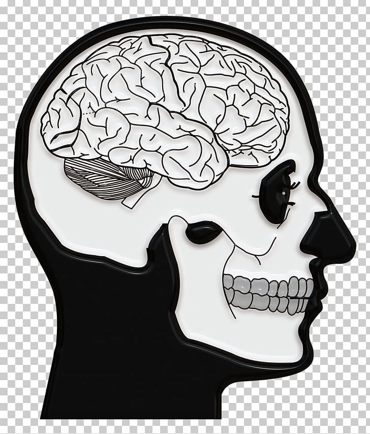Brain Skull And Crossbones N-back Neuroscience PNG, Clipart, Bone, Brain, Brain Implant, Forehead, Head Free PNG Download
