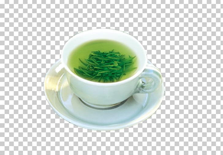 Green Tea Teacup Gratis PNG, Clipart, Background Green, Camellia Sinensis, Coffee Cup, Cup, Dish Free PNG Download