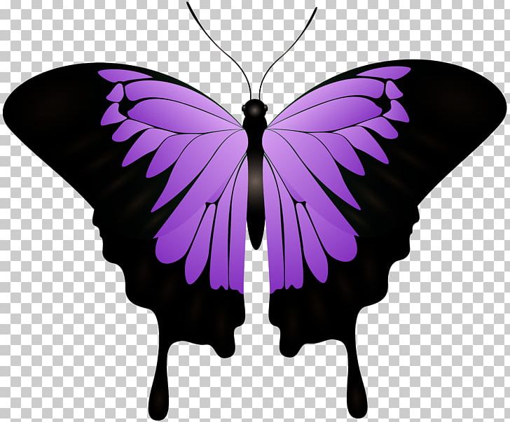 L'ombra Del Cuore. Black Moon Monarch Butterfly Dead Until Dark Author PNG, Clipart,  Free PNG Download