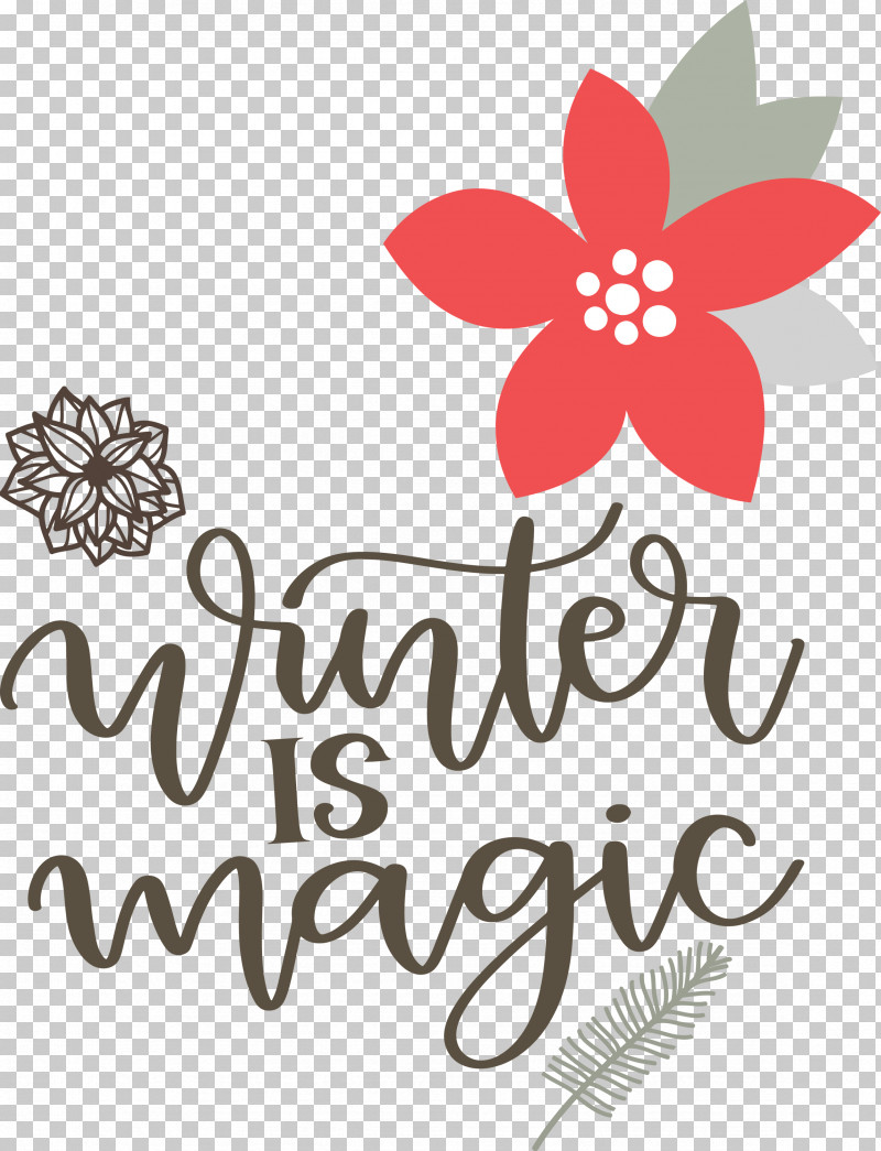 Winter Is Magic Hello Winter Winter PNG, Clipart, Cut Flowers, Floral Design, Flower, Geometry, Hello Winter Free PNG Download