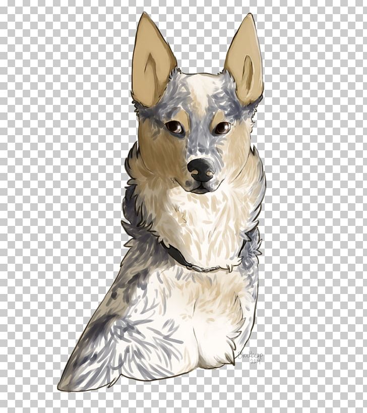 Dog Breed Razas Nativas Vulnerables Tail PNG, Clipart, Animals, Breed, Carnivoran, Dog, Dog Breed Free PNG Download