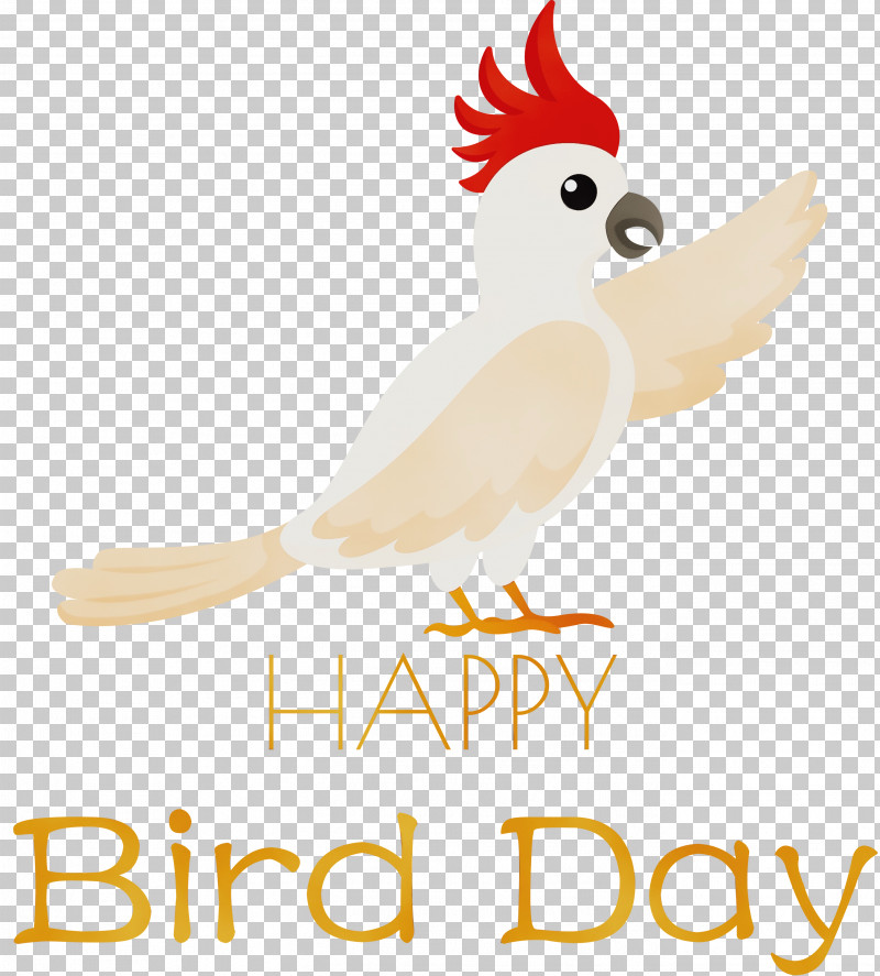 Feather PNG, Clipart, Beak, Bird Day, Chicken, Feather, Landfowl Free PNG Download