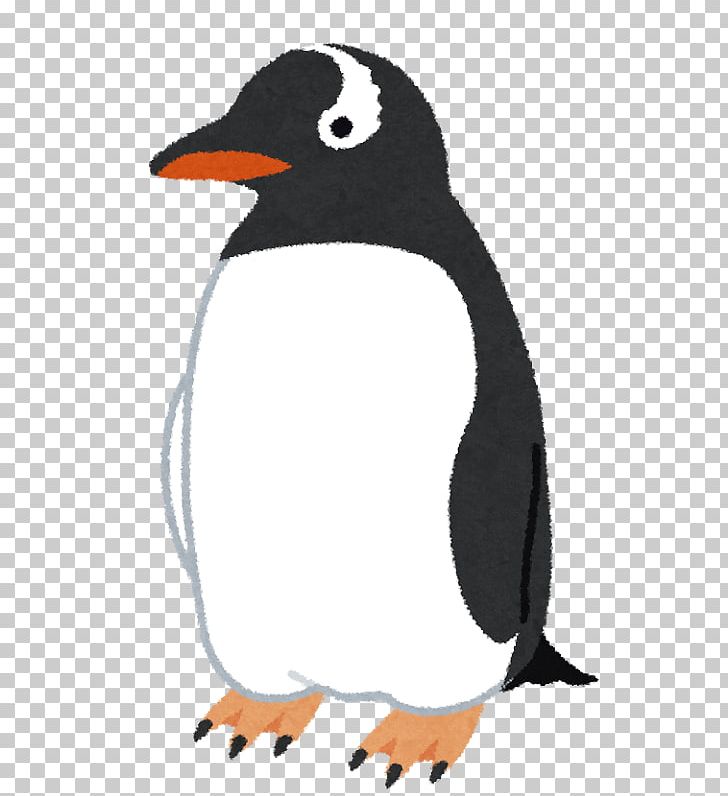 Adélie Penguin Bird Gentoo Penguin King Penguin PNG, Clipart, Adelie Penguin, Animal, Animals, Beak, Bird Free PNG Download
