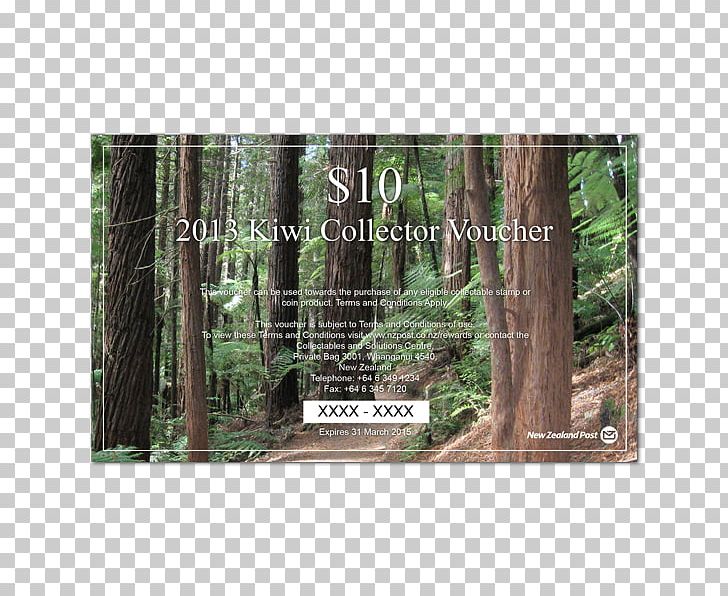 Biome Rainforest Nature Reserve Wood PNG, Clipart, Biome, Ecosystem, Forest, M083vt, Nature Free PNG Download