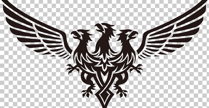 Hiroto Amamiya J Soul Brothers EXILE TRIBE LDH PNG, Clipart, Beak, Bird, Bird Of Prey, Black And White, Brother Free PNG Download