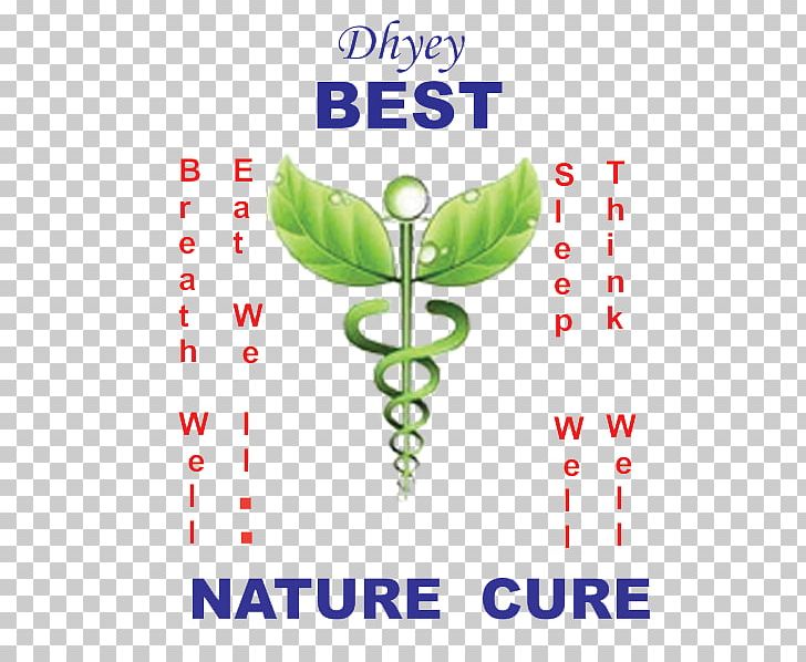 Medicine Naturopathy Alternative Health Services Acupressure PNG, Clipart,  Free PNG Download