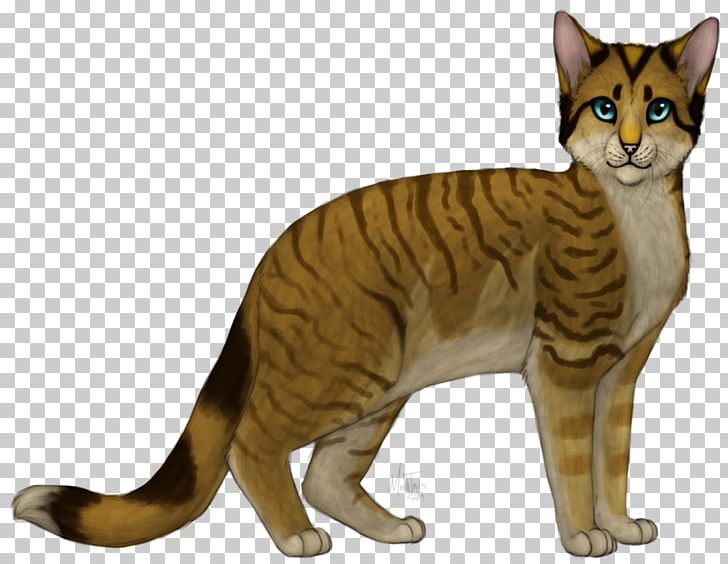 Toyger American Shorthair European Shorthair Sokoke California Spangled PNG, Clipart, American Wirehair, Art, Asian, Australian Mist, California Spangled Free PNG Download