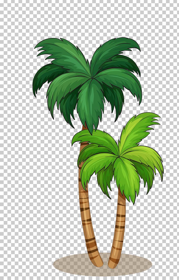 Arecaceae Illustration PNG, Clipart, Arecales, Autumn Tree, Bottle Coconut, Christmas Tree, Coc Free PNG Download