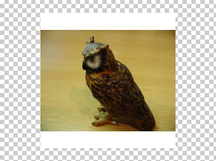 Owl Fauna Beak PNG, Clipart, Animals, Beak, Bird, Bird Of Prey, Eule Free PNG Download