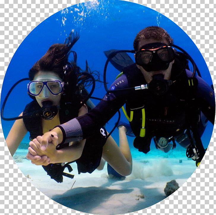 Cabo San Lucas Scuba Diving Underwater Diving Professional Association Of Diving Instructors Diver Certification PNG, Clipart, Marine Biology, Padi Discover Scuba Diving, Padi Scuba Diver, Personal Protective Equipment, Phuket Free PNG Download