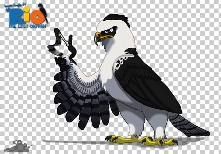 Eagle Vulture Fauna Beak PNG, Clipart, Animals, Beak, Bird, Bird Of Prey, Eagle Free PNG Download