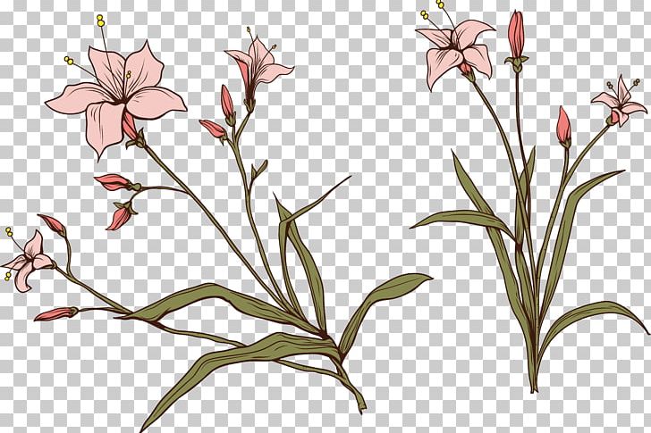 Flower Plant Stem PNG, Clipart, Artwork, Blossom, Branch, Cut Flowers, Encapsulated Postscript Free PNG Download