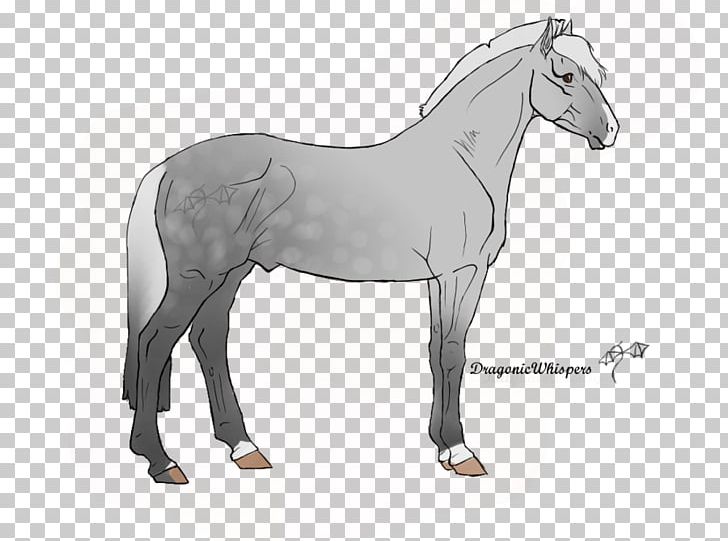 Mane Foal Mustang Bridle Stallion PNG, Clipart, Bridle, Drawing, Foal, Halter, Horse Free PNG Download