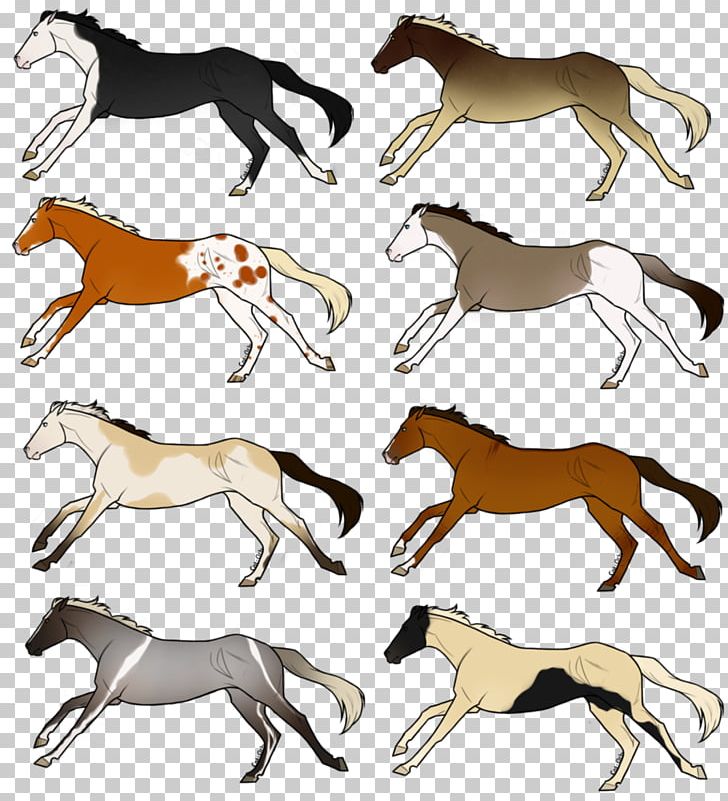 Mustang Pony Stallion Foal Dog PNG, Clipart, Canidae, Carnivoran, Character, Dog, Dog Like Mammal Free PNG Download