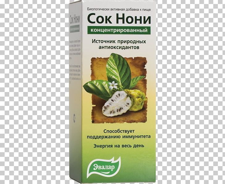 Noni Juice Cheese Fruit Dietary Supplement Evalar PNG, Clipart, Artikel, Cheese Fruit, Concentrate, Dietary Supplement, Drink Free PNG Download