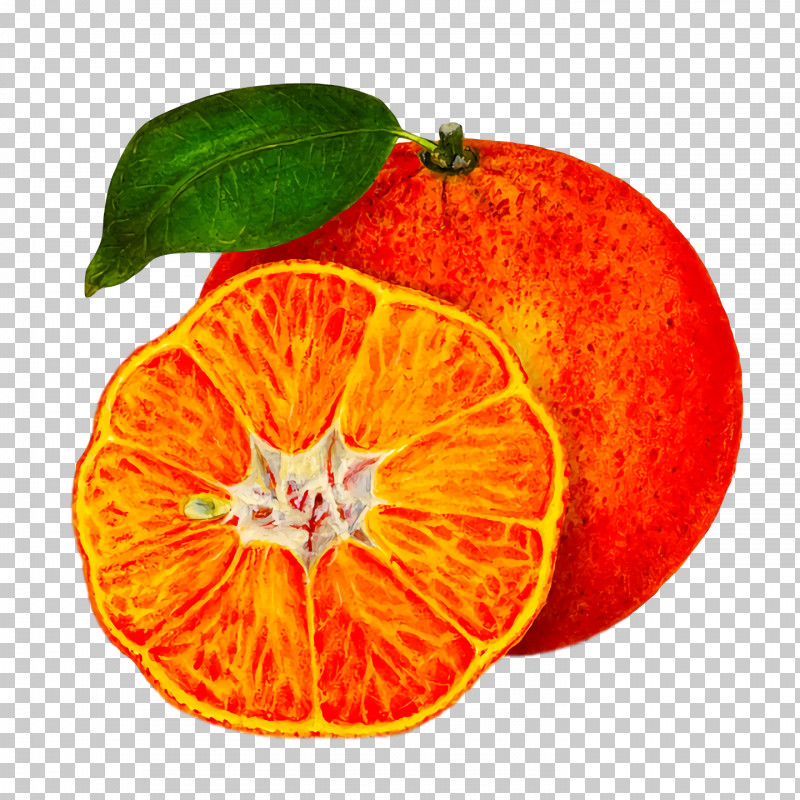 Orange PNG, Clipart, Bitter Orange, Blood Orange, Clementine, Grapefruit, Mandarin Orange Free PNG Download